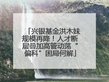 兴银基金洪木妹规模再降！人才断层叠加高管动荡“偏科”困局何解