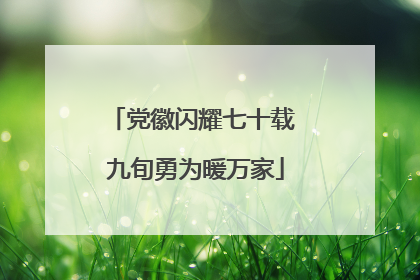 党徽闪耀七十载 九旬勇为暖万家