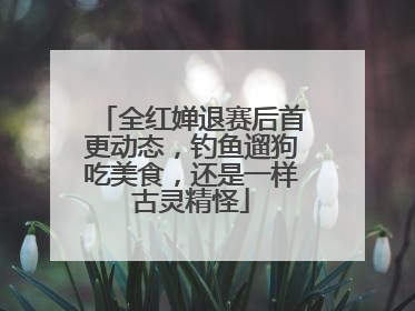 全红婵退赛后首更动态，钓鱼遛狗吃美食，还是一样古灵精怪