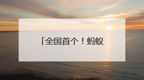 全国首个！蚂蚁AI健康管家通过信通院医疗健康行业大模型双领域可信评估