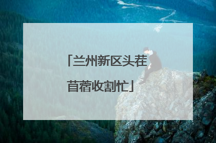 兰州新区头茬苜蓿收割忙