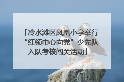 冷水滩区凤凰小学举行“红领巾心向党”少先队入队考核闯关活动