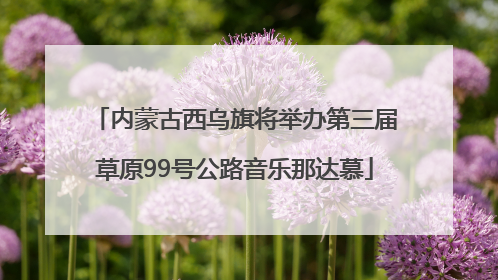 内蒙古西乌旗将举办第三届草原99号公路音乐那达慕