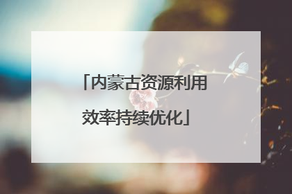 内蒙古资源利用效率持续优化