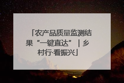 农产品质量监测结果“一键直达”｜乡村行·看振兴