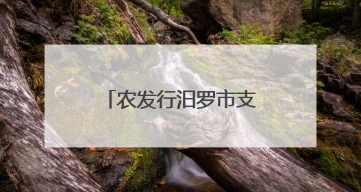 农发行汨罗市支行开展“6·14信用记录关爱日”主题宣传活动