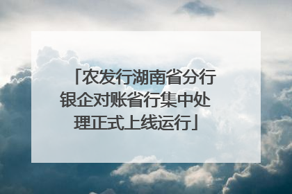 农发行湖南省分行银企对账省行集中处理正式上线运行