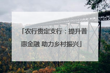 农行贵定支行：提升普惠金融 助力乡村振兴