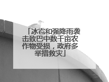 冰雹和强降雨袭击致巴中数千亩农作物受损，政府多举措救灾
