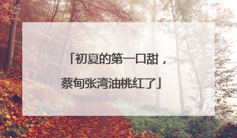 初夏的第一口甜，蔡甸张湾油桃红了