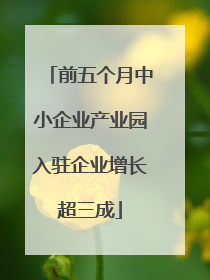 前五个月中小企业产业园入驻企业增长超三成
