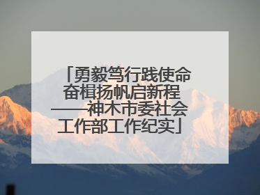 勇毅笃行践使命 奋楫扬帆启新程——神木市委社会工作部工作纪实