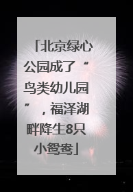 北京绿心公园成了“鸟类幼儿园”，福泽湖畔降生8只小鸳鸯