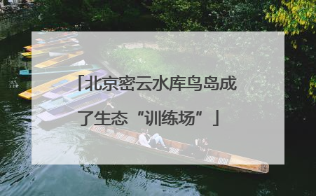 北京密云水库鸟岛成了生态“训练场”