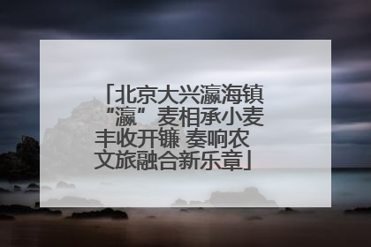 北京大兴瀛海镇“瀛”麦相承小麦丰收开镰 奏响农文旅融合新乐章