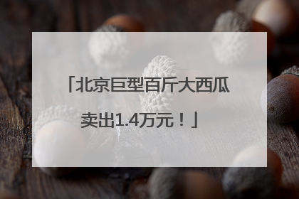 北京巨型百斤大西瓜卖出1.4万元！