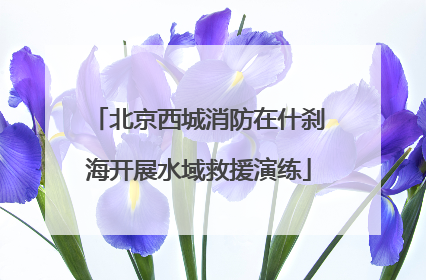 北京西城消防在什刹海开展水域救援演练