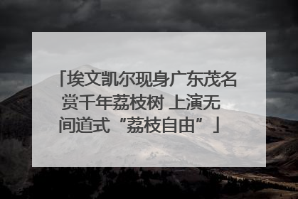 埃文凯尔现身广东茂名 赏千年荔枝树 上演无间道式“荔枝自由”