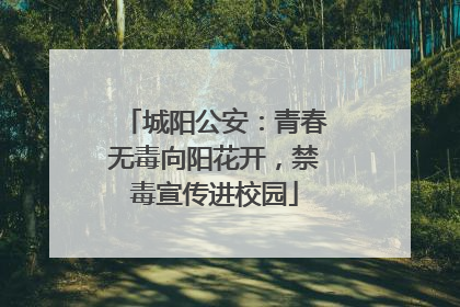 城阳公安：青春无毒向阳花开，禁毒宣传进校园