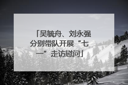 吴毓舟、刘永强分别带队开展“七一”走访慰问