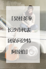 吴桂英率长沙市代表团访问沙特阿拉伯
