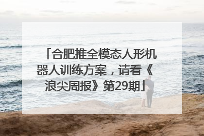 合肥推全模态人形机器人训练方案，请看《浪尖周报》第29期
