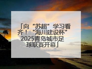 向“苏超”学习看齐！“海川建设杯”2025青岛城市足球联赛开幕