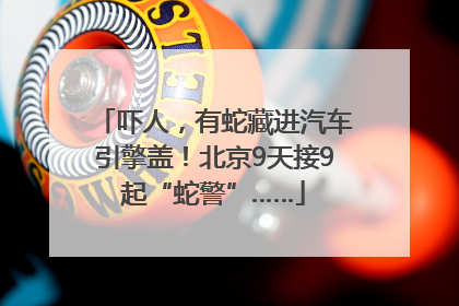 吓人，有蛇藏进汽车引擎盖！北京9天接9起“蛇警”……