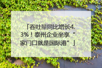 吞吐量同比增长4.3%！泰州企业坐享“家门口就是国际港”