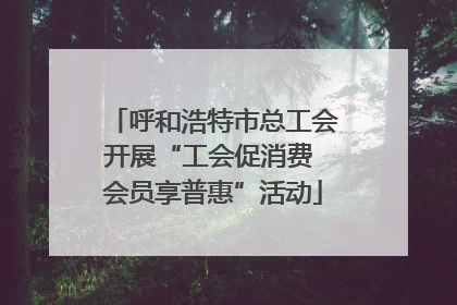呼和浩特市总工会开展“工会促消费 会员享普惠”活动