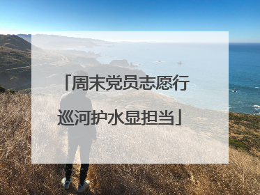 周末党员志愿行 巡河护水显担当