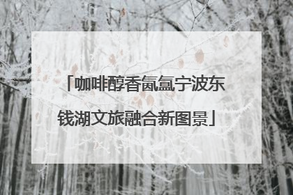 咖啡醇香氤氲宁波东钱湖文旅融合新图景