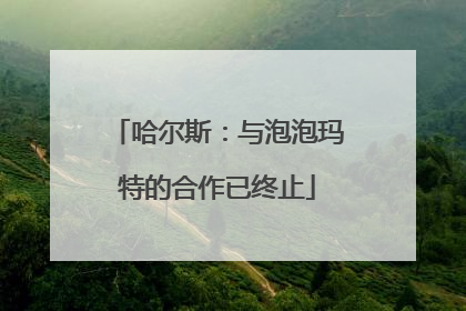 哈尔斯：与泡泡玛特的合作已终止
