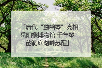 唐代“独幽琴”亮相岳阳楼博物馆 千年琴韵洞庭湖畔苏醒