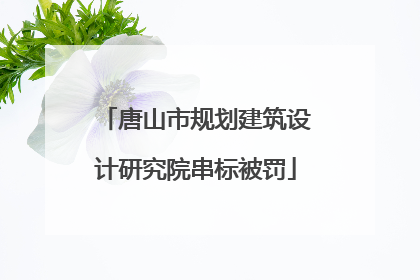 唐山市规划建筑设计研究院串标被罚
