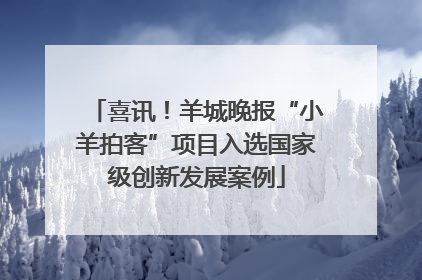 喜讯！羊城晚报“小羊拍客”项目入选国家级创新发展案例