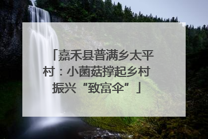 嘉禾县普满乡太平村：小菌菇撑起乡村振兴“致富伞”