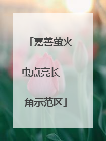 嘉善萤火虫点亮长三角示范区