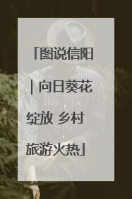 图说信阳｜向日葵花绽放 乡村旅游火热