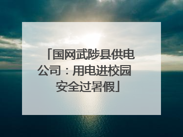 国网武陟县供电公司：用电进校园  安全过暑假
