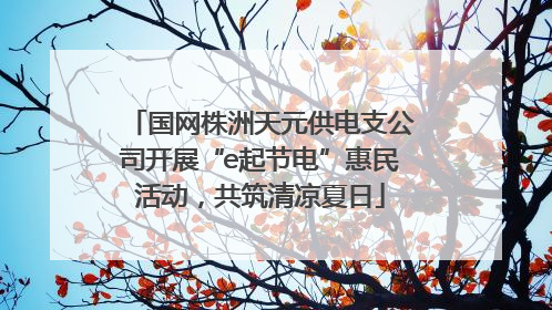 国网株洲天元供电支公司开展“e起节电”惠民活动，共筑清凉夏日