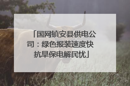 国网镇安县供电公司：绿色报装速度快 抗旱保电解民忧
