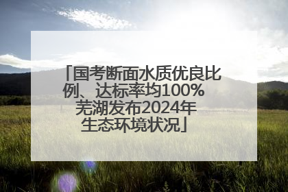 国考断面水质优良比例、达标率均100% 芜湖发布2024年生态环境状况