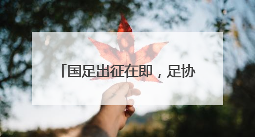 国足出征在即，足协主席雨中观看训练为球队打气，王钰栋期待全力冲击印尼队
