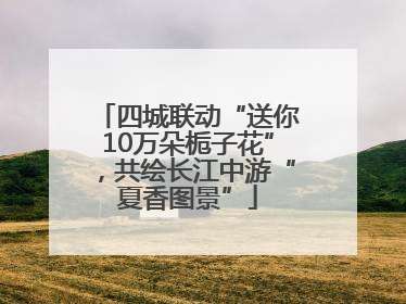 四城联动“送你10万朵栀子花”，共绘长江中游“夏香图景”
