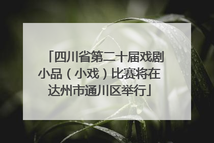四川省第二十届戏剧小品（小戏）比赛将在达州市通川区举行