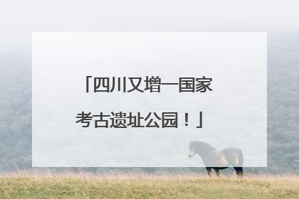 四川又增一国家考古遗址公园！