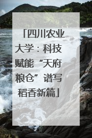 四川农业大学：科技赋能“天府粮仓”谱写稻香新篇