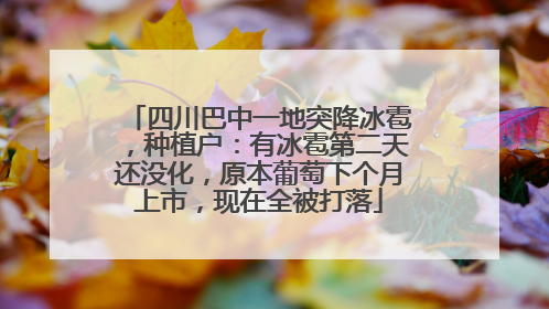 四川巴中一地突降冰雹，种植户：有冰雹第二天还没化，原本葡萄下个月上市，现在全被打落