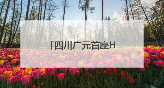 四川广元首座HGIS智能变电站投运 为迎峰度夏注入“电动力”